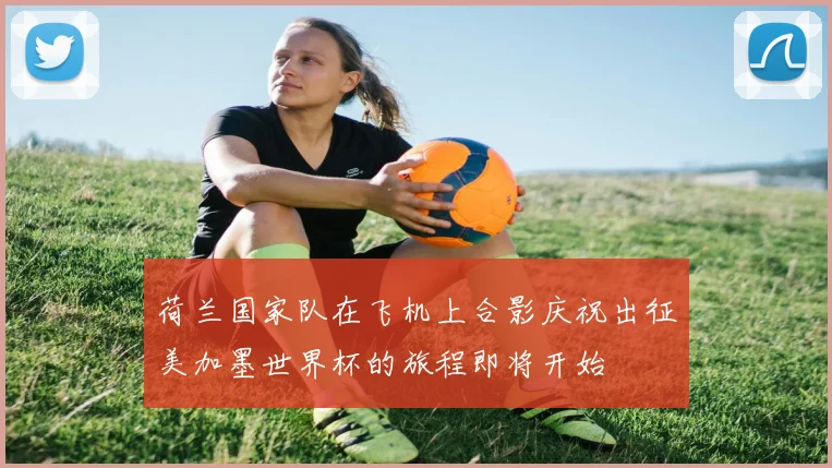 荷兰国家队在飞机上合影庆祝出征美加墨世界杯的旅程即将开始