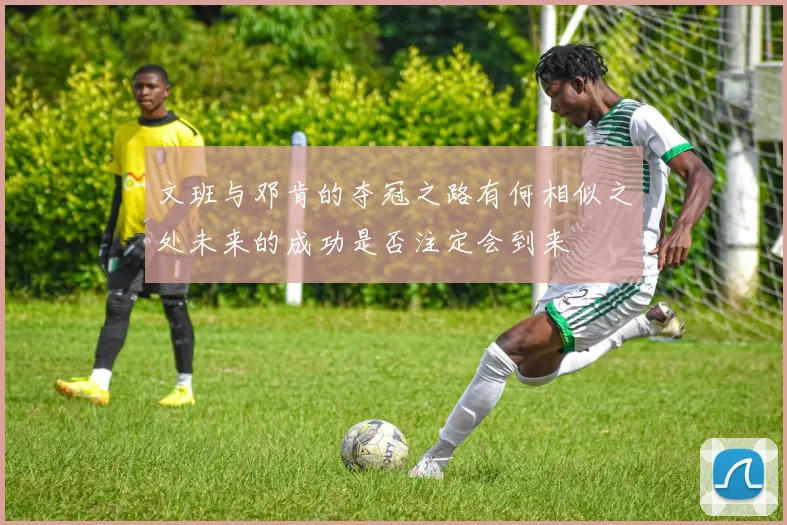 文班与邓肯的夺冠之路有何相似之处未来的成功是否注定会到来